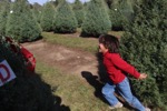 resIMG_20161127_122656_6711.JPG